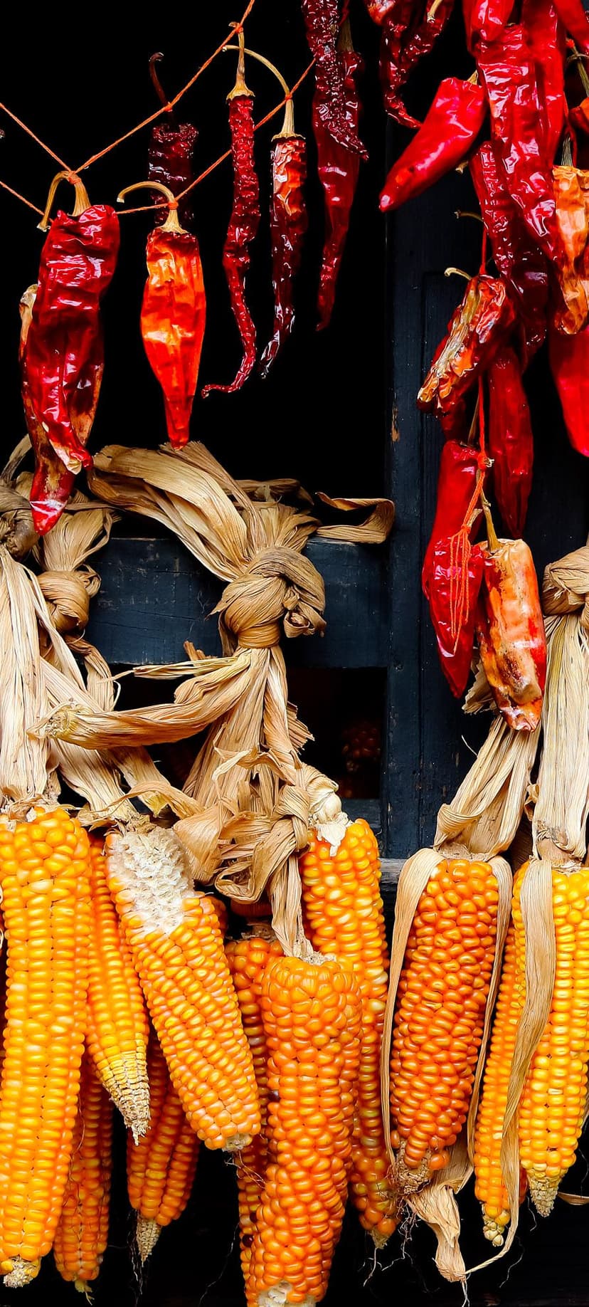 COMMUNITY-BASED TOURISM