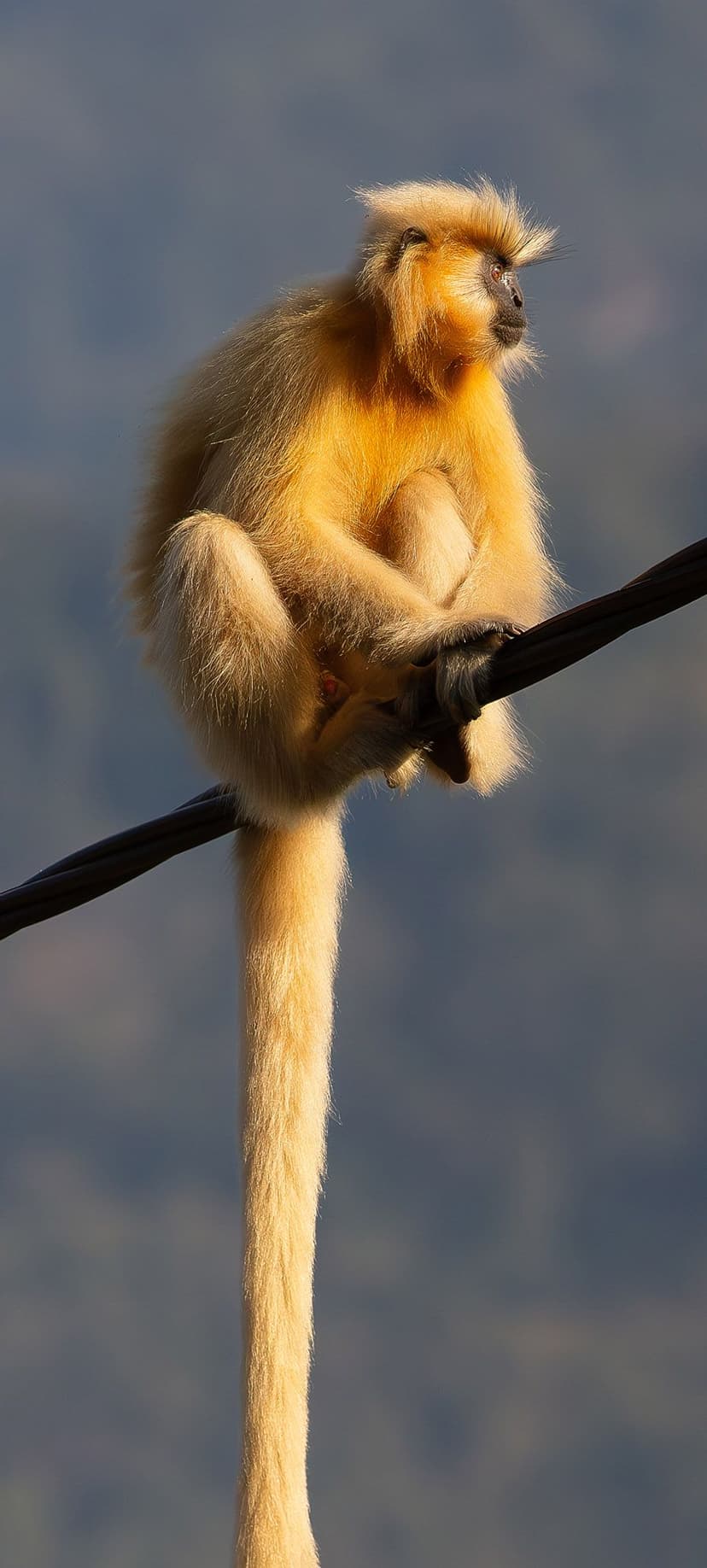 BHUTAN THROUGH THE LENS